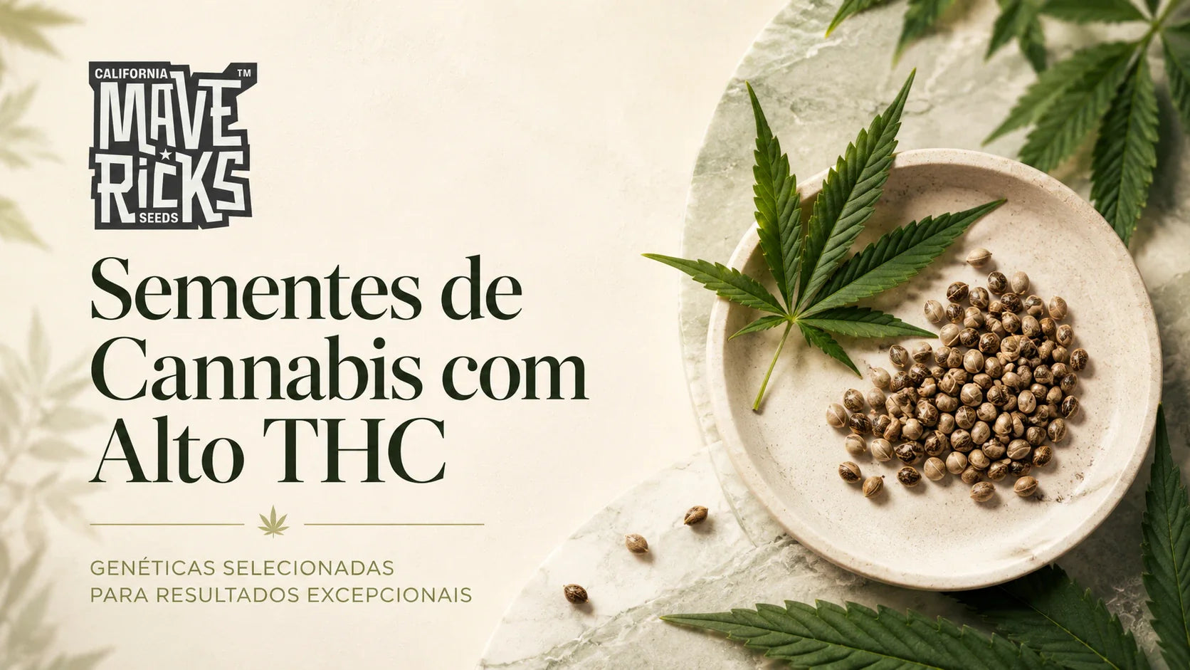 As melhores sementes de cannabis com alto THC para colecionadores exigentes