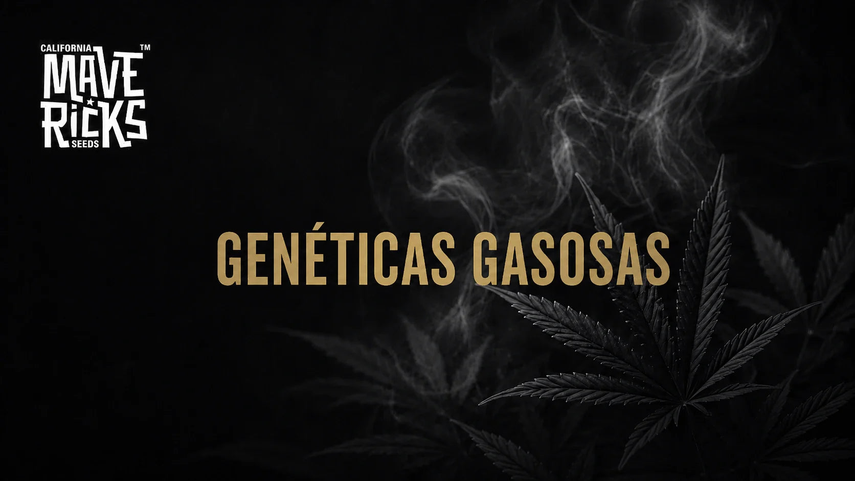Genéticas gasosas: por que as strains com perfil “gas” são tão procuradas?