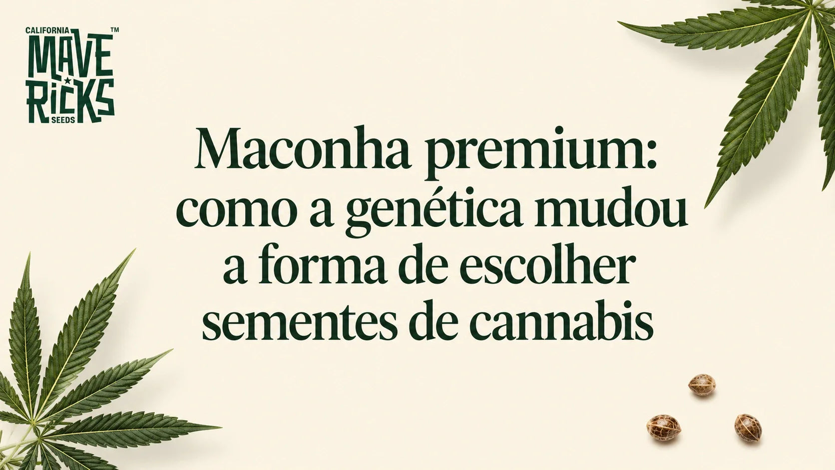 Maconha premium: como a genética mudou a forma de escolher sementes de cannabis