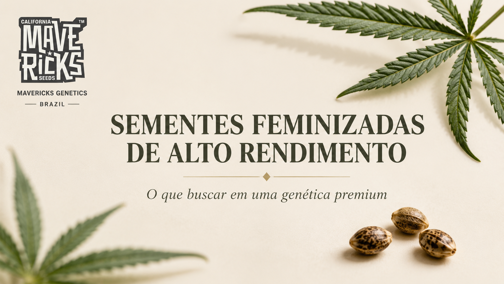 Sementes feminizadas de alto rendimento: o que buscar em uma genética premium