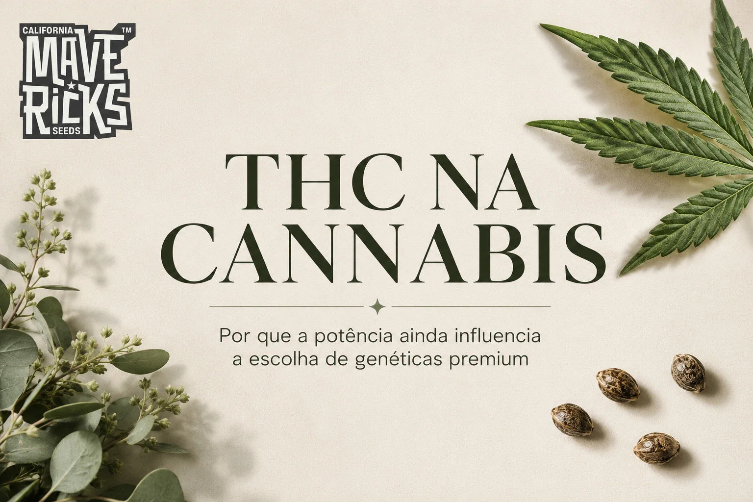 THC na cannabis: por que a potência ainda influencia a escolha de genéticas premium