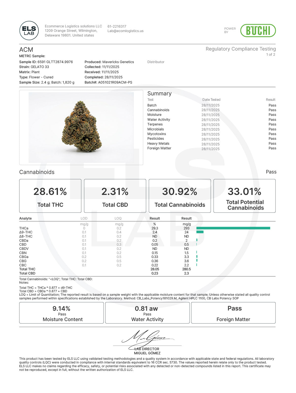 Gelato 33