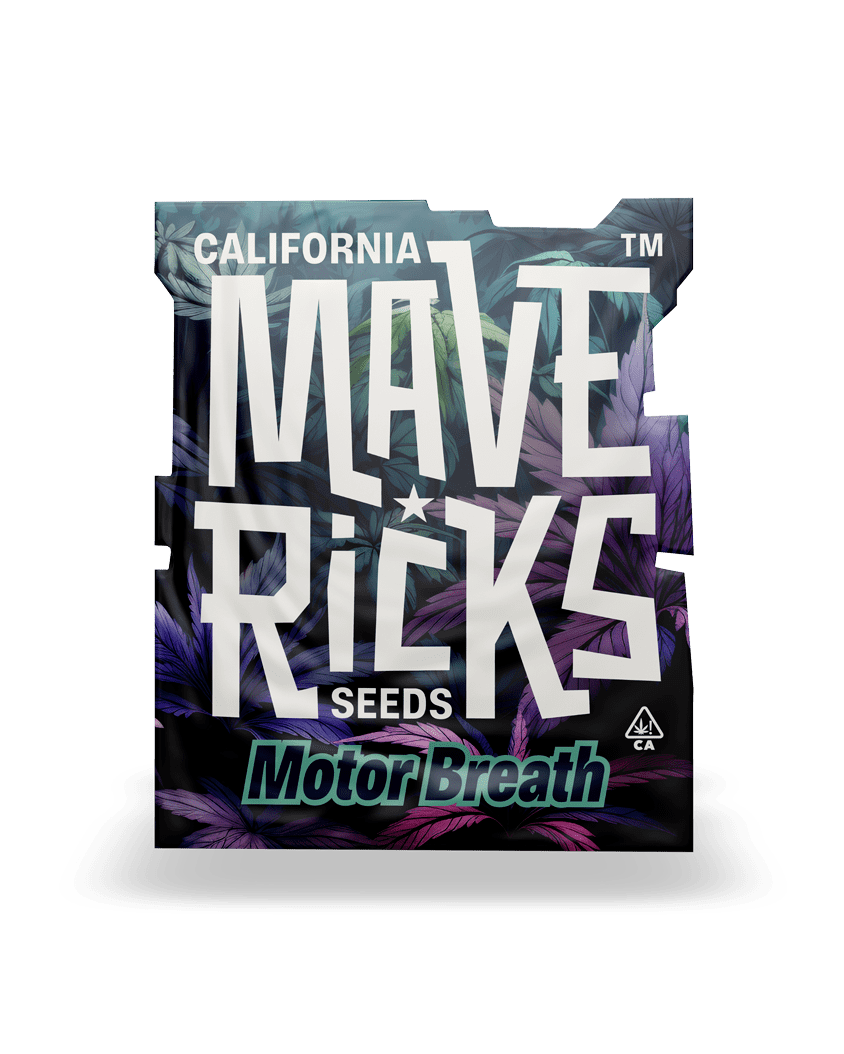 Motor Breath