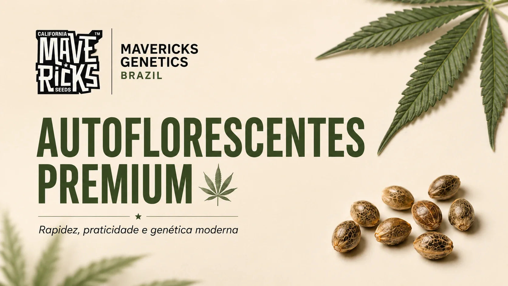 Autoflorescentes premium: rapidez, praticidade e genética moderna em uma só escolha