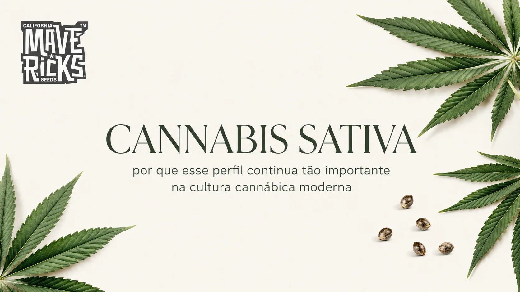 Cannabis sativa: por que esse perfil continua tão importante na cultura cannábica moderna