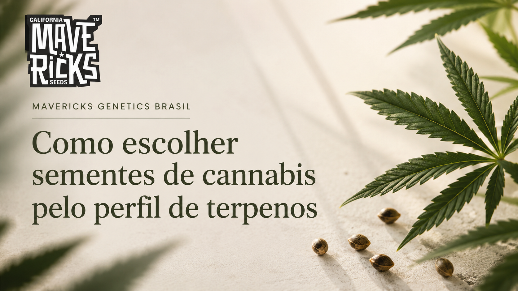 Como escolher sementes de cannabis pelo perfil de terpenos