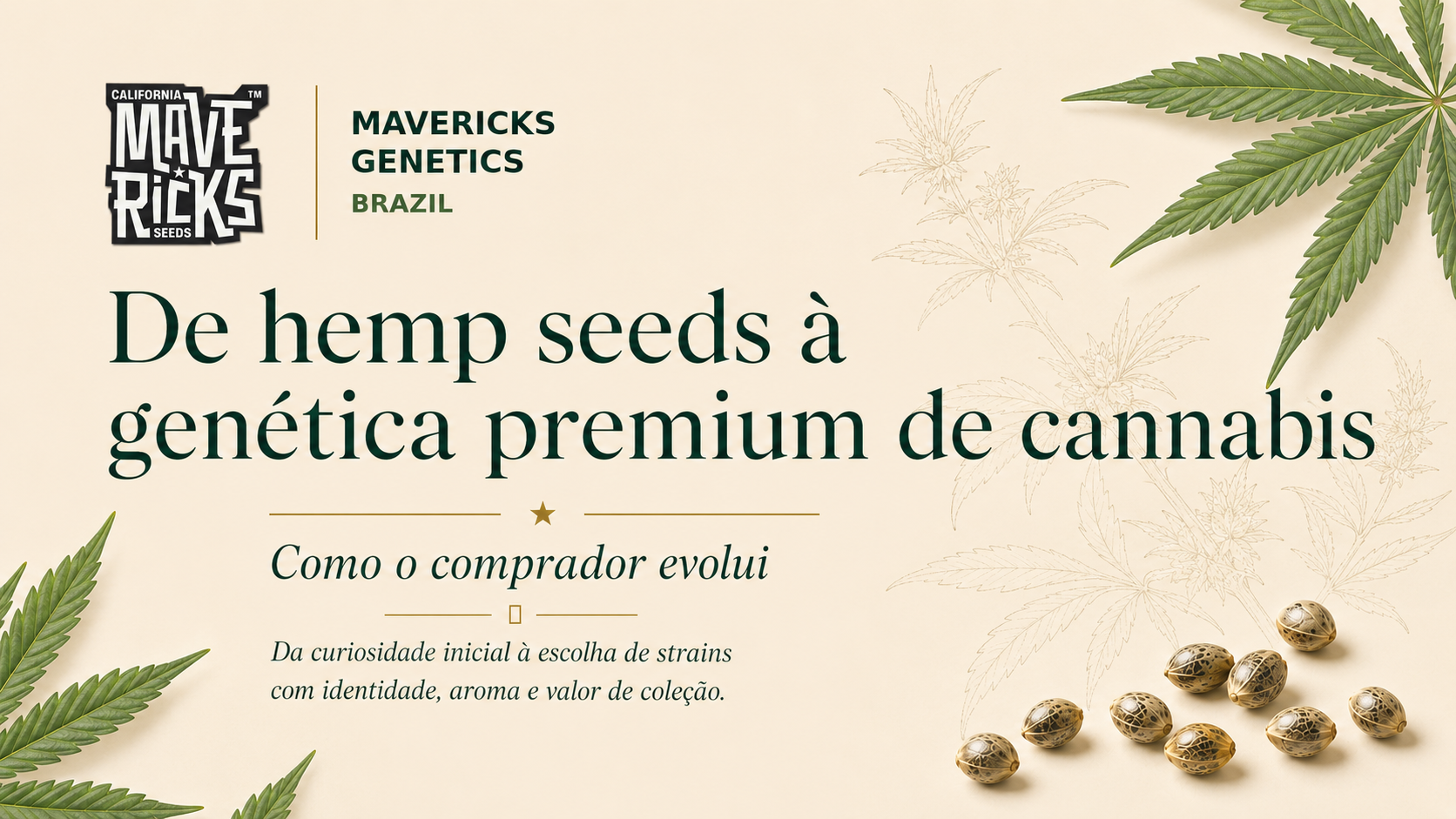 De hemp seeds à genética premium de cannabis: como o comprador evolui