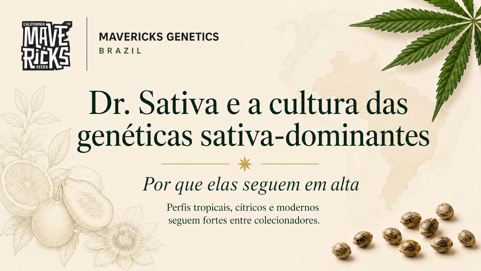 Dr. Sativa e a cultura das genéticas sativa-dominantes: por que elas seguem em alta