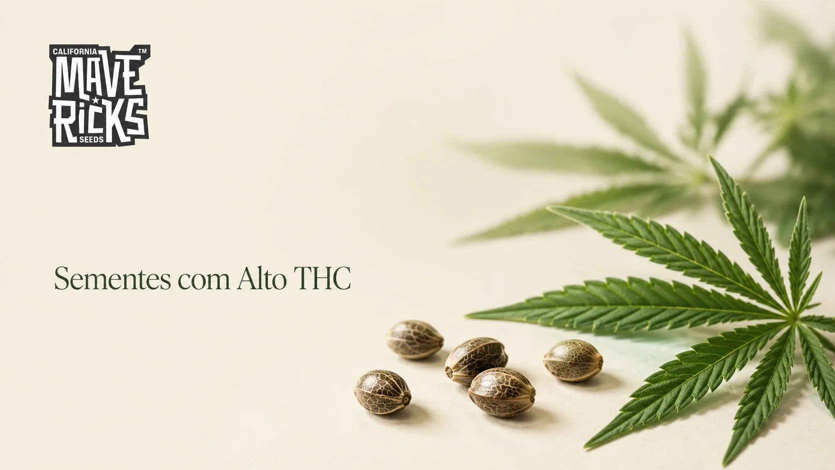 Sementes de cannabis frutadas: genética doce, tropical e cheia de personalidade