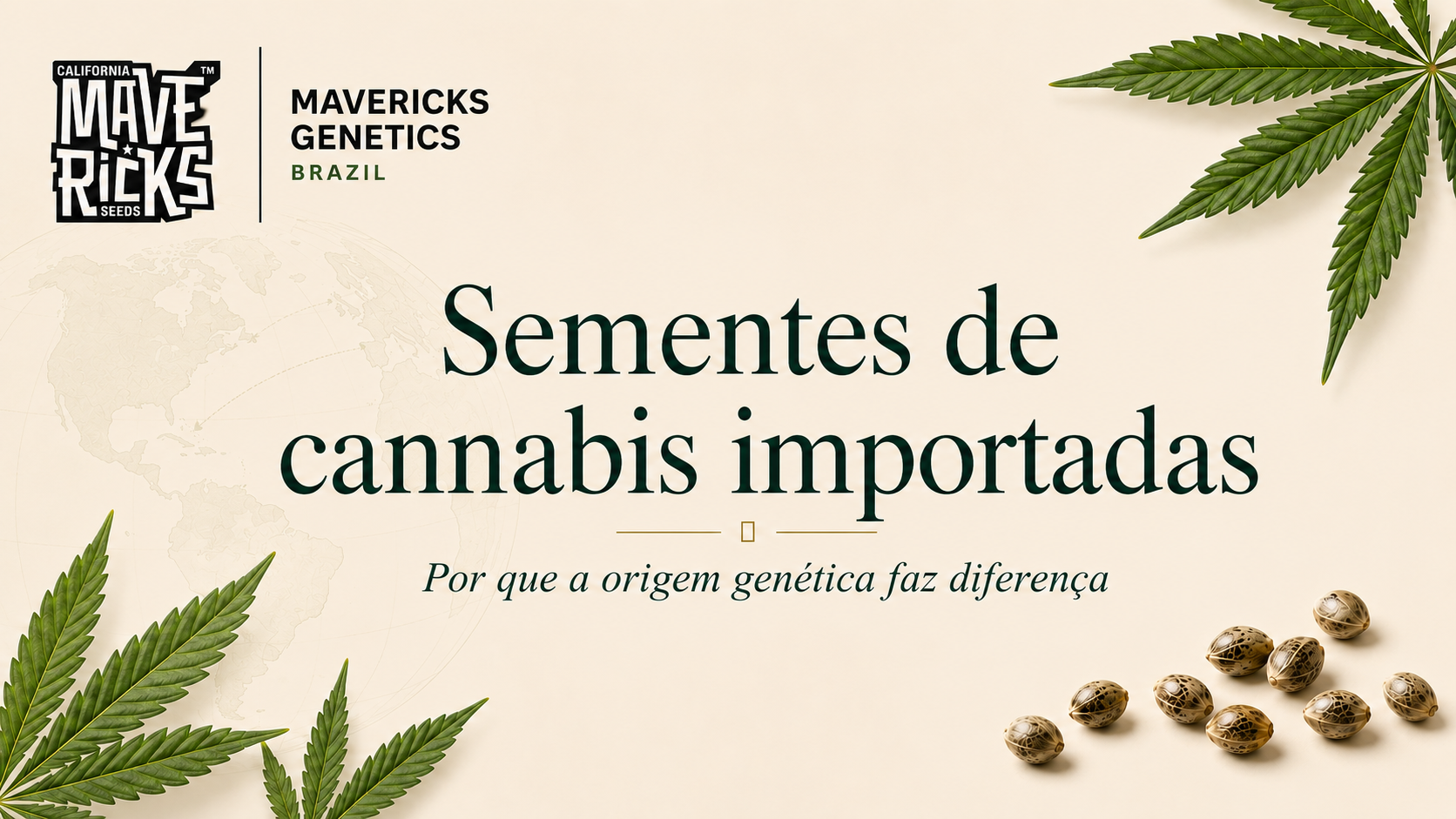 Sementes de cannabis importadas: por que a origem genética faz diferença