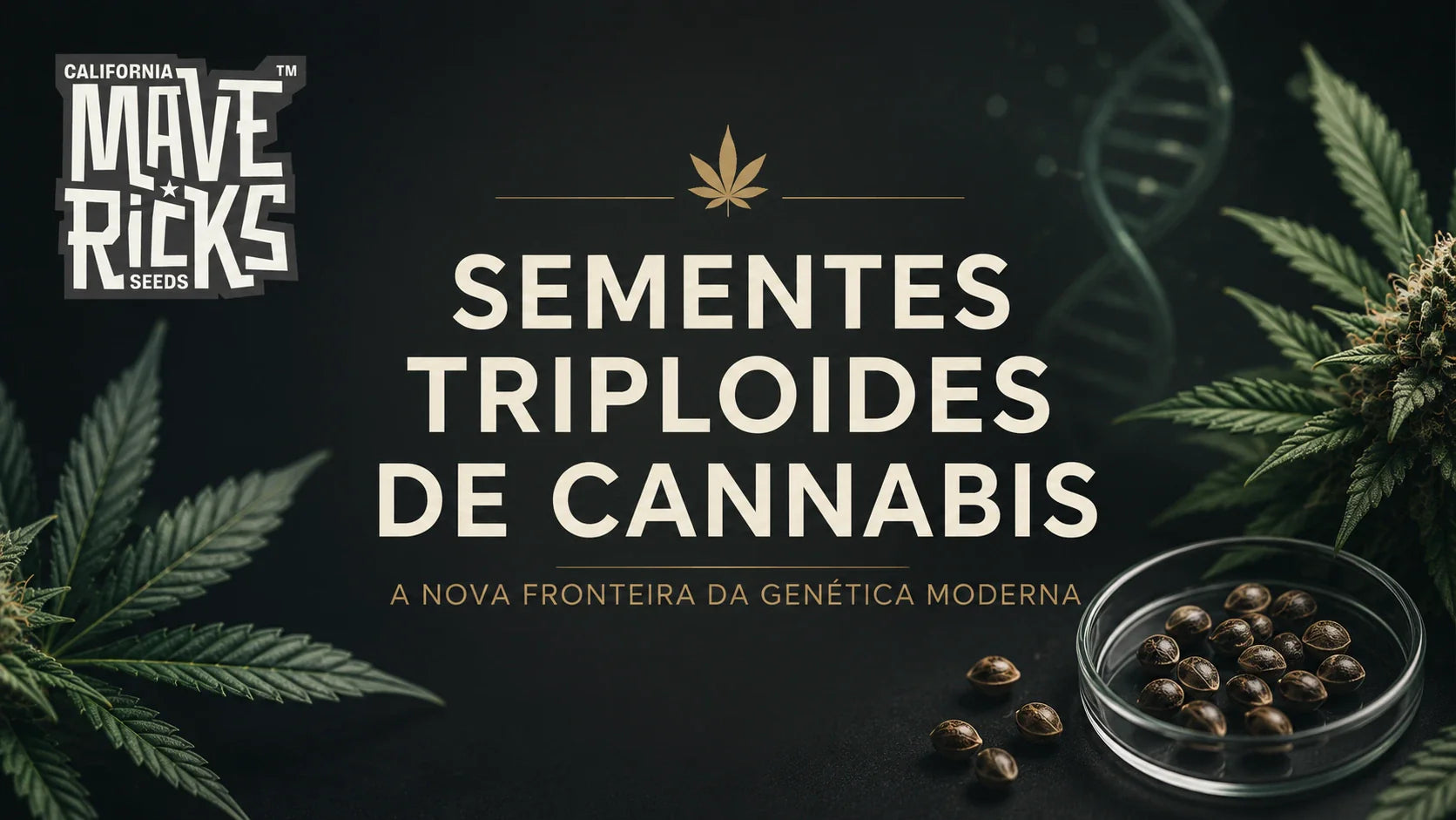 Triploid cannabis seeds: a nova fronteira da genética moderna