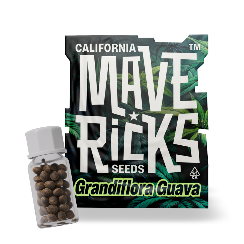 Grandiflora Guava