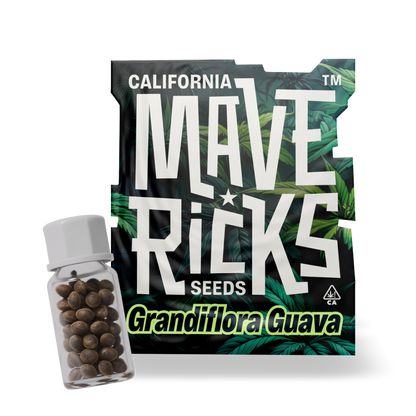 Grandiflora Guava