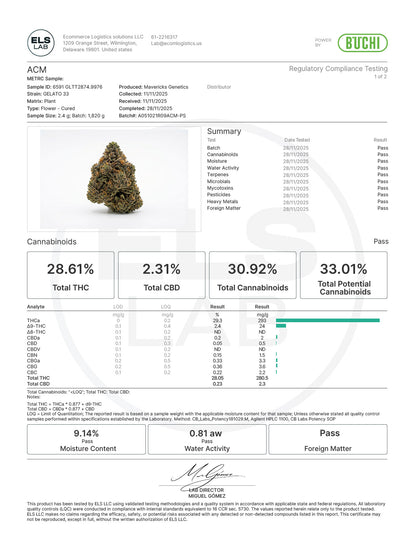Gelato 33